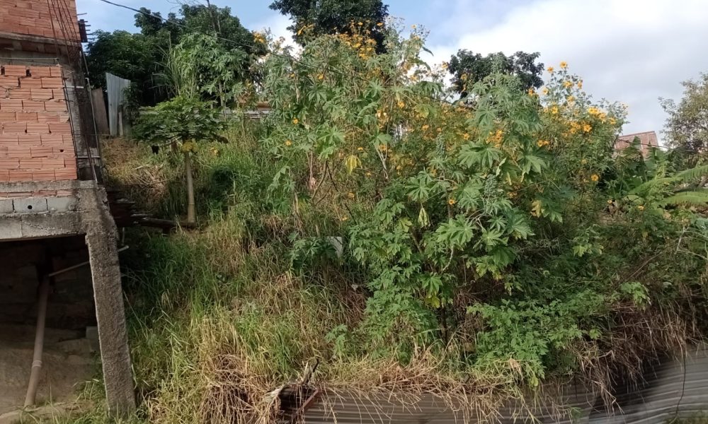 WhatsApp Image 2025-06-25 at 15.12.28 (1)