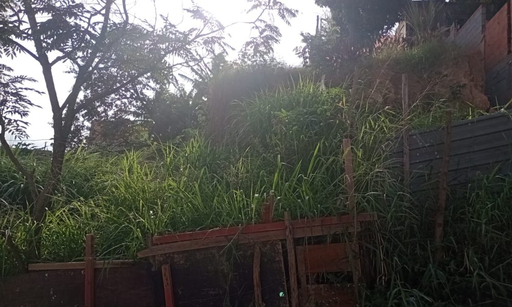 WhatsApp Image 2025-06-25 at 15.12.28 (3)