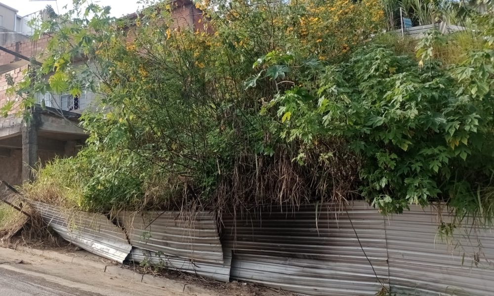 WhatsApp Image 2025-06-25 at 15.12.28